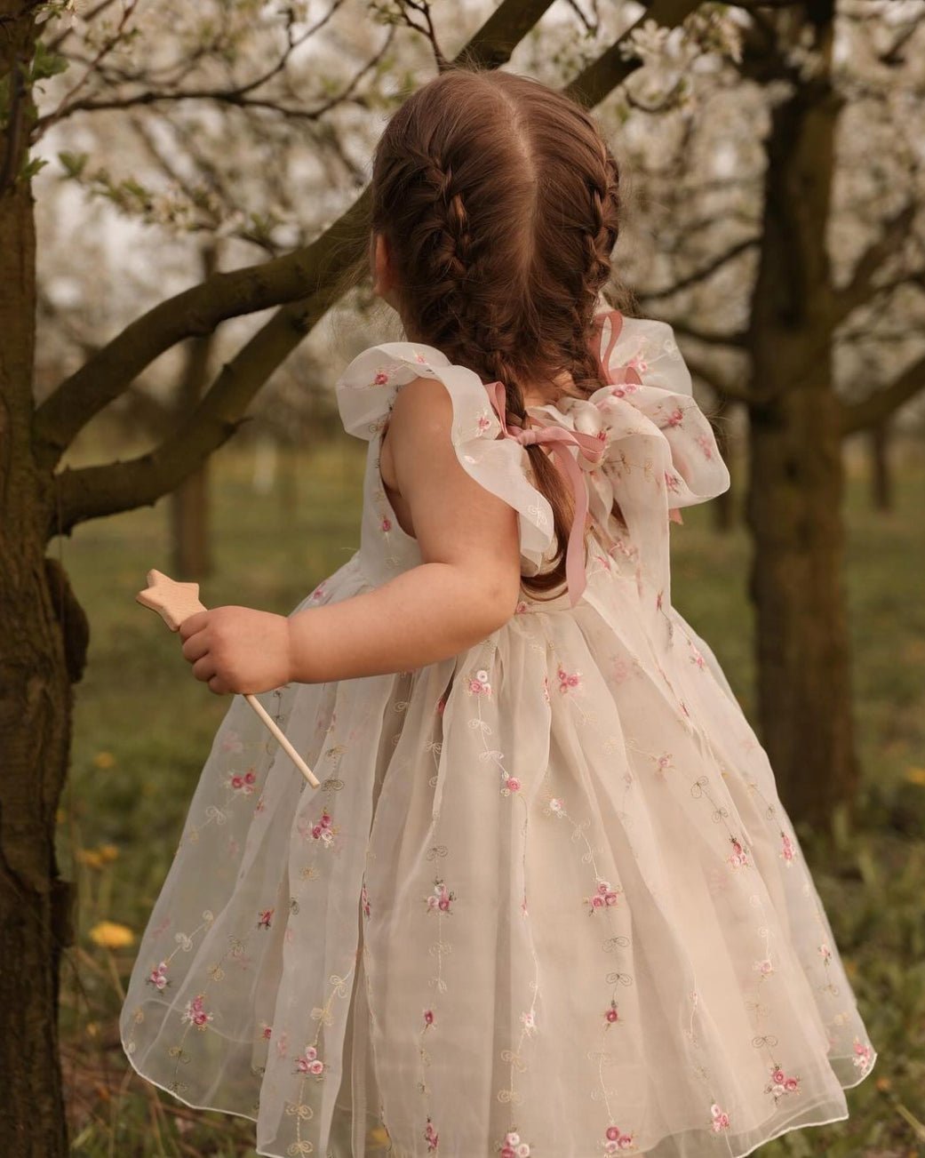 Flora embroidered beige organza dress